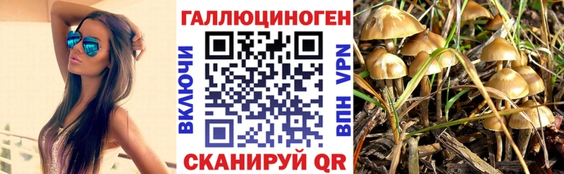 МЕГА ссылка  Лагань  Псилоцибиновые грибы Magic Shrooms  купить  сайты 
